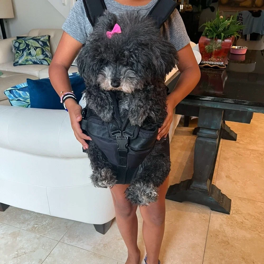 Pet carrier for medium size dogs by WindyTails